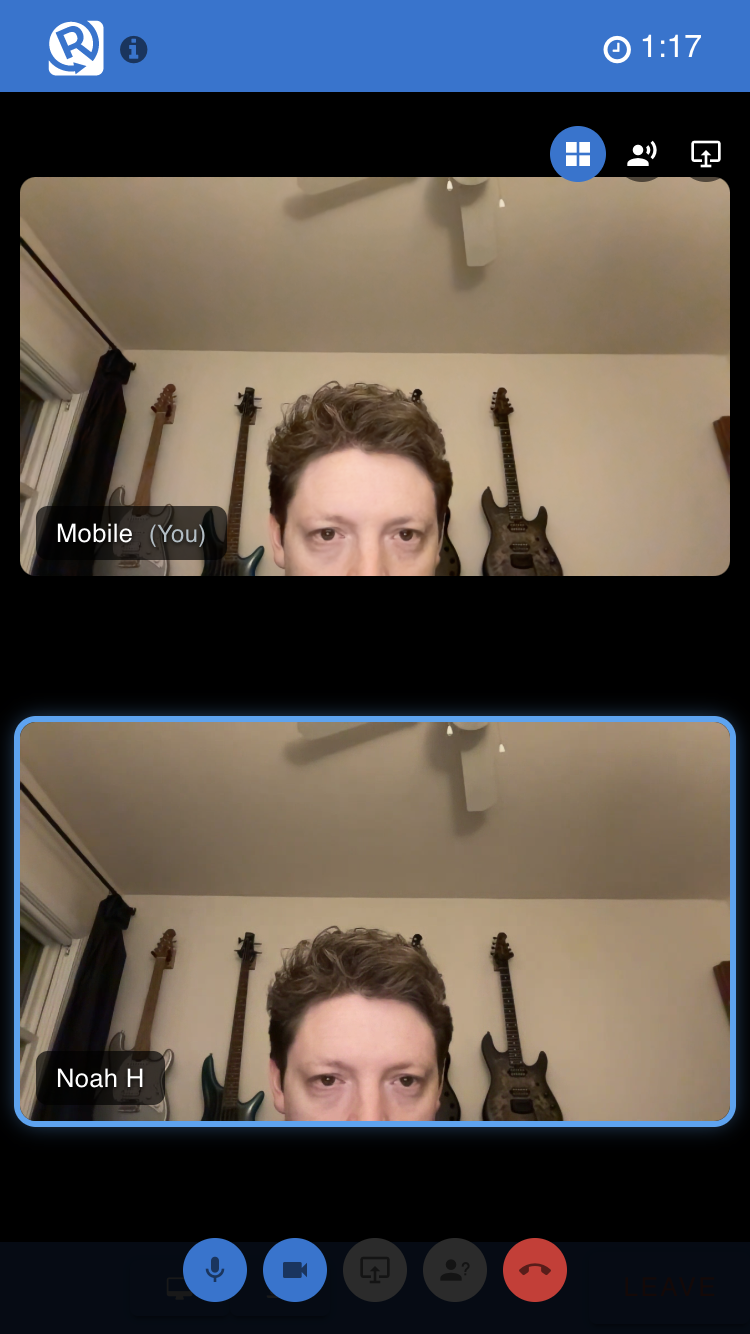 Conferencing — host controls
